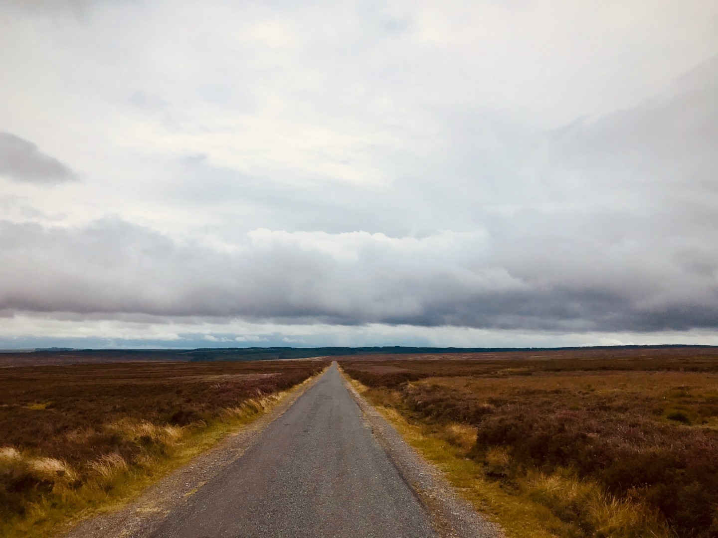 Roman Road to Pickering