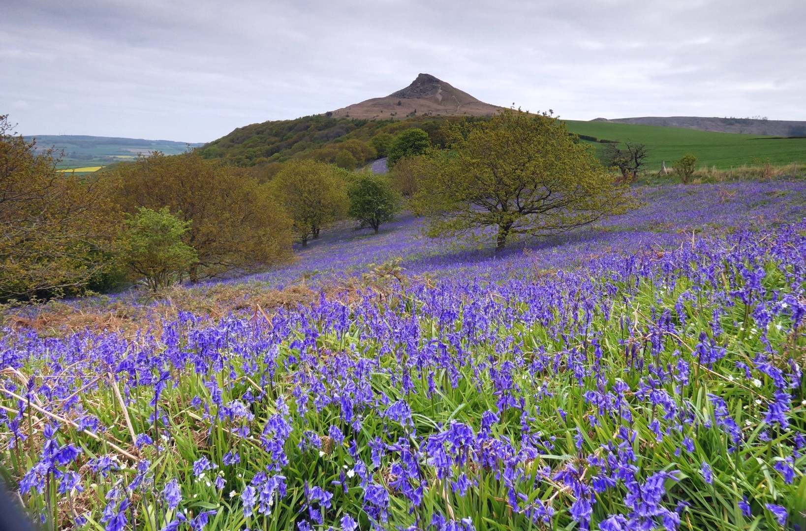 Roseberry Topping